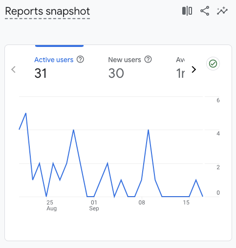 Using Google Analytics